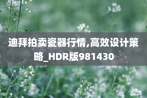 迪拜拍卖瓷器行情,高效设计策略_HDR版981430