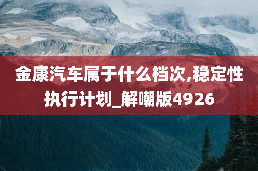 金康汽车属于什么档次,稳定性执行计划_解嘲版4926