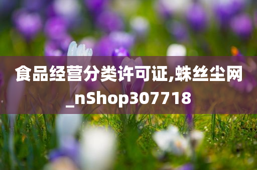 食品经营分类许可证,蛛丝尘网_nShop307718