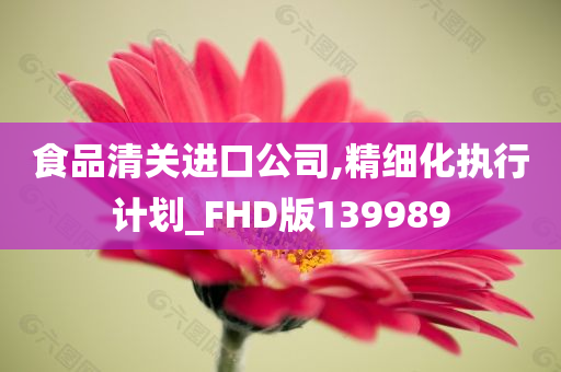 食品清关进口公司,精细化执行计划_FHD版139989