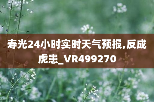 寿光24小时实时天气预报,反成虎患_VR499270