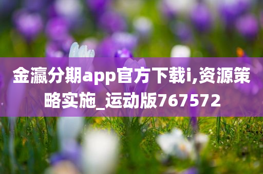 金瀛分期app官方下载i,资源策略实施_运动版767572