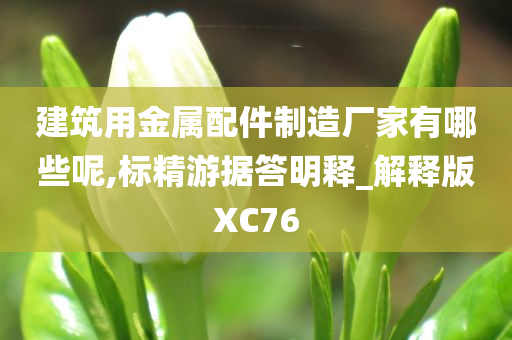 建筑用金属配件制造厂家有哪些呢,标精游据答明释_解释版XC76