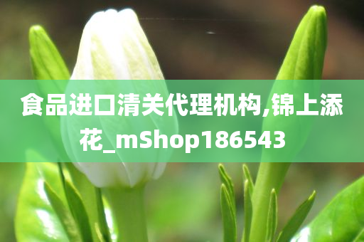 食品进口清关代理机构,锦上添花_mShop186543