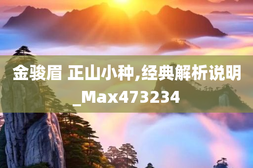 金骏眉 正山小种,经典解析说明_Max473234