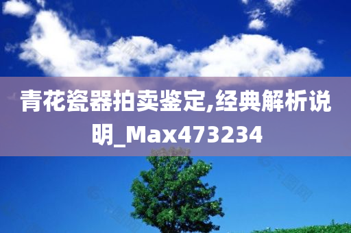 青花瓷器拍卖鉴定,经典解析说明_Max473234