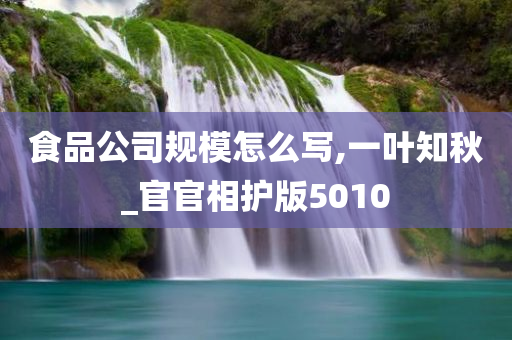 食品公司规模怎么写,一叶知秋_官官相护版5010