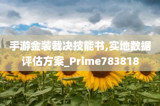 手游金装裁决技能书,实地数据评估方案_Prime783818