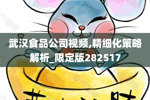 武汉食品公司视频,精细化策略解析_限定版282517