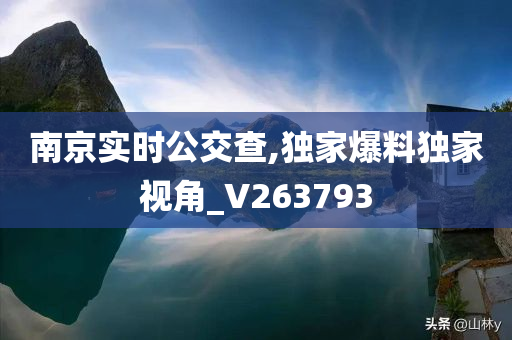 南京实时公交查,独家爆料独家视角_V263793