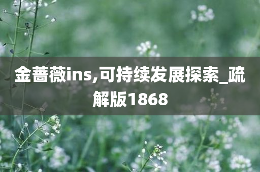 金蔷薇ins,可持续发展探索_疏解版1868