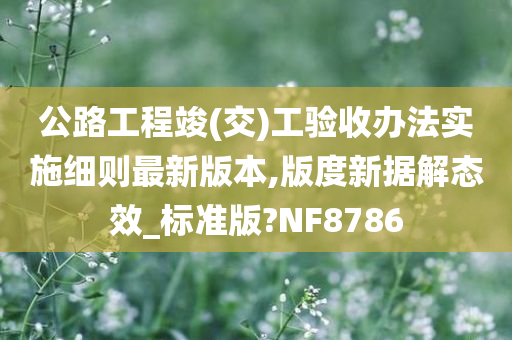 公路工程竣(交)工验收办法实施细则最新版本,版度新据解态效_标准版?NF8786