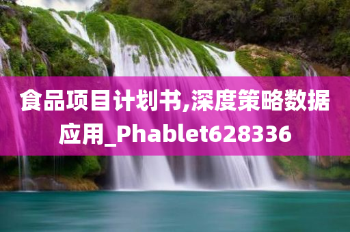 食品项目计划书,深度策略数据应用_Phablet628336