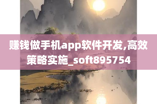 赚钱做手机app软件开发,高效策略实施_soft895754