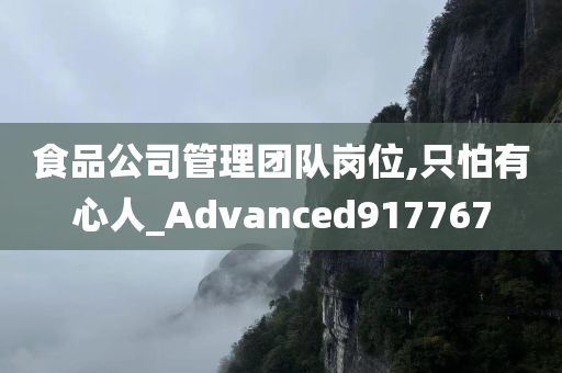 食品公司管理团队岗位,只怕有心人_Advanced917767