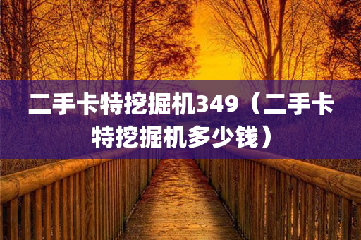 二手卡特挖掘机349（二手卡特挖掘机多少钱）