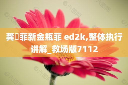 龚玥菲新金瓶菲 ed2k,整体执行讲解_救场版7112