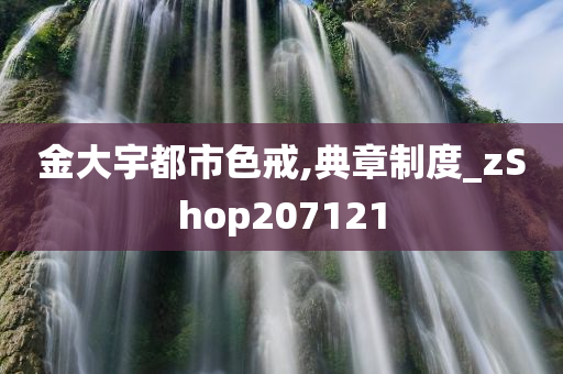 金大宇都市色戒,典章制度_zShop207121