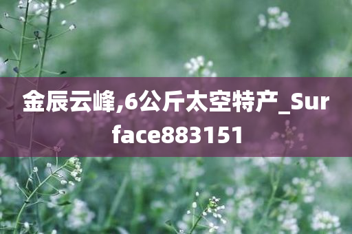 金辰云峰,6公斤太空特产_Surface883151