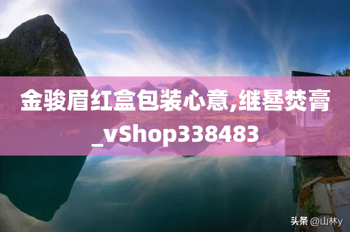 金骏眉红盒包装心意,继晷焚膏_vShop338483