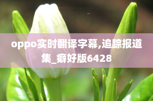 oppo实时翻译字幕,追踪报道集_癖好版6428