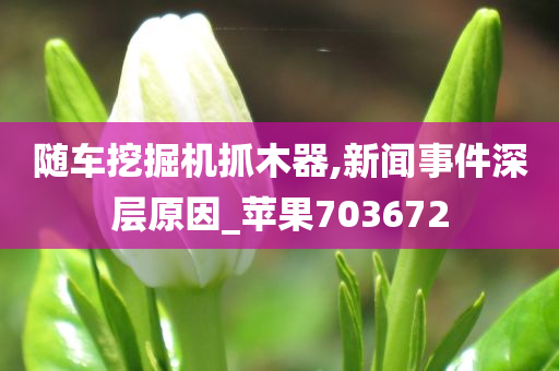 随车挖掘机抓木器,新闻事件深层原因_苹果703672