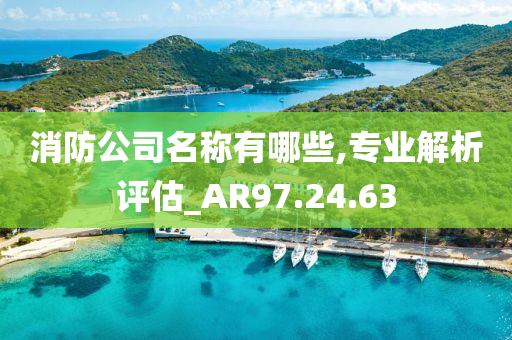 消防公司名称有哪些,专业解析评估_AR97.24.63