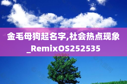 金毛母狗起名字,社会热点现象_RemixOS252535