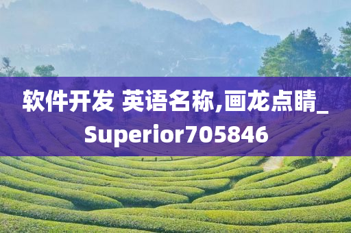 软件开发 英语名称,画龙点睛_Superior705846