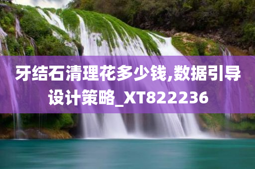 牙结石清理花多少钱,数据引导设计策略_XT822236