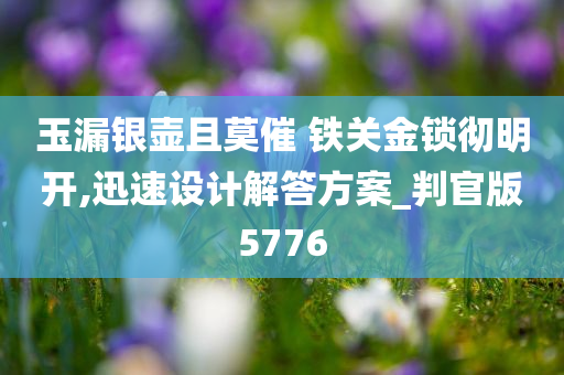 玉漏银壶且莫催 铁关金锁彻明开,迅速设计解答方案_判官版5776