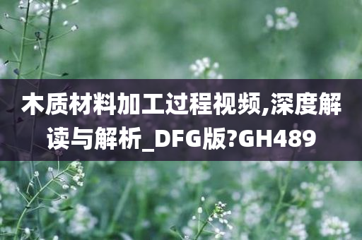 木质材料加工过程视频,深度解读与解析_DFG版?GH489