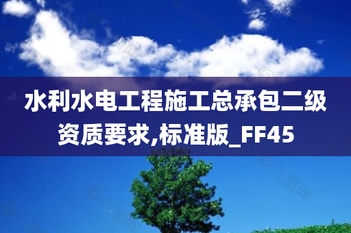 水利水电工程施工总承包二级资质要求,标准版_FF45