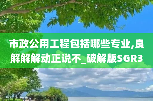 市政公用工程包括哪些专业,良解解解动正说不_破解版SGR3