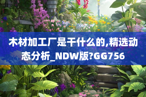 木材加工厂是干什么的,精选动态分析_NDW版?GG756