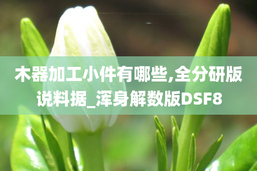 木器加工小件有哪些,全分研版说料据_浑身解数版DSF8