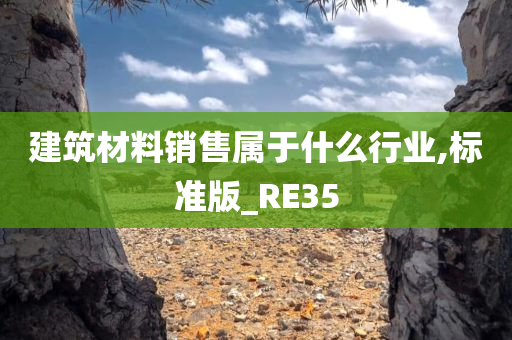 建筑材料销售属于什么行业,标准版_RE35