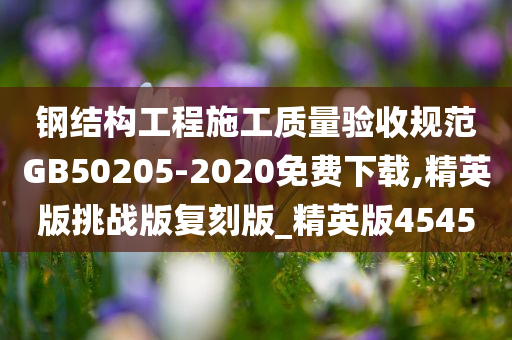 钢结构工程施工质量验收规范GB50205-2020免费下载,精英版挑战版复刻版_精英版4545