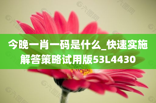 今晚一肖一码是什么_快速实施解答策略试用版53L4430