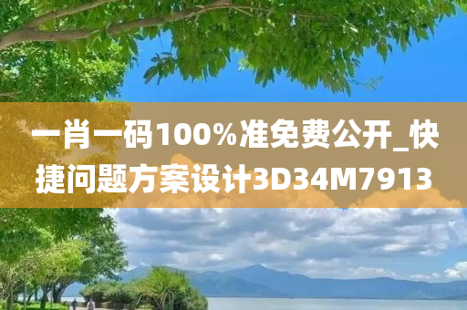 一肖一码100%准免费公开_快捷问题方案设计3D34M7913