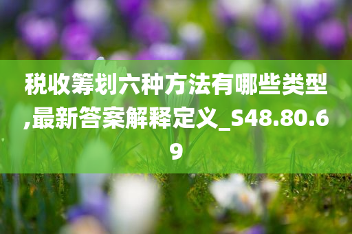 税收筹划六种方法有哪些类型,最新答案解释定义_S48.80.69