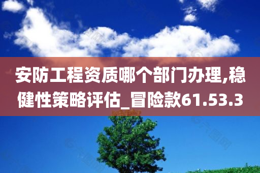 安防工程资质哪个部门办理,稳健性策略评估_冒险款61.53.30