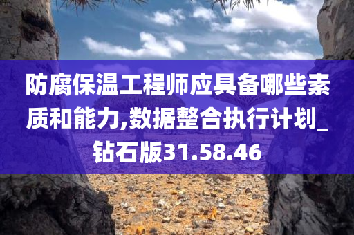 防腐保温工程师应具备哪些素质和能力,数据整合执行计划_钻石版31.58.46