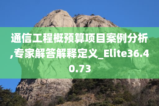 通信工程概预算项目案例分析,专家解答解释定义_Elite36.40.73