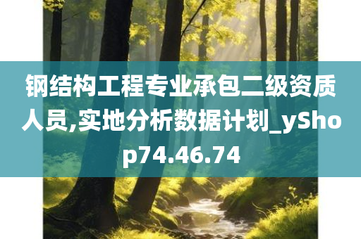 钢结构工程专业承包二级资质人员,实地分析数据计划_yShop74.46.74