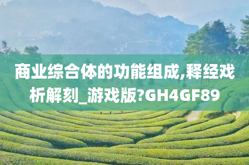 商业综合体的功能组成,释经戏析解刻_游戏版?GH4GF89