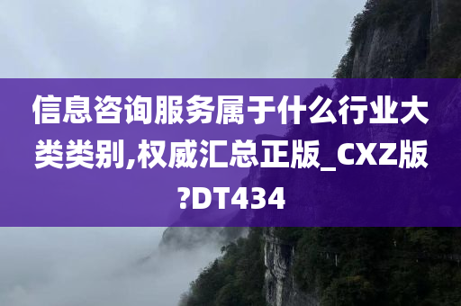 信息咨询服务属于什么行业大类类别,权威汇总正版_CXZ版?DT434