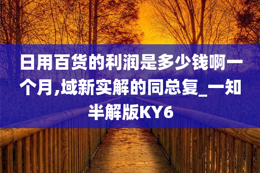 日用百货的利润是多少钱啊一个月,域新实解的同总复_一知半解版KY6