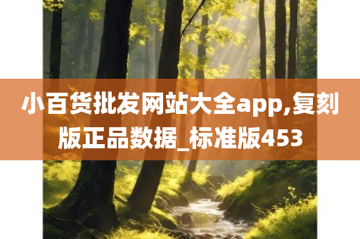 小百货批发网站大全app,复刻版正品数据_标准版453