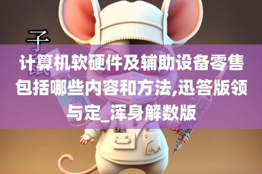 计算机软硬件及辅助设备零售包括哪些内容和方法,迅答版领与定_浑身解数版